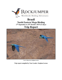 Brazil North Eastern Mega Birding 27Th September to 18Th October 2019 (22 Days) Trip Report