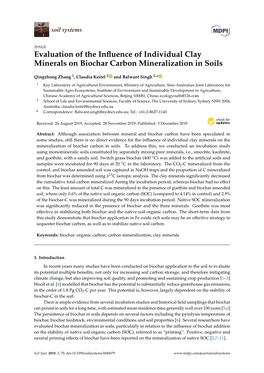 Evaluation of the Influence of Individual Clay Minerals on Biochar