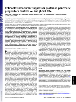 Retinoblastoma Tumor Suppressor Protein in Pancreatic Progenitors Controls Α- and Β-Cell Fate