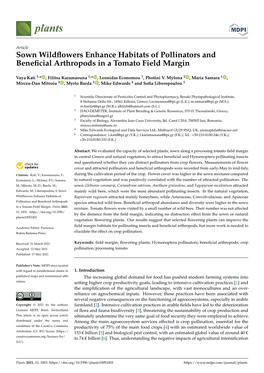 Sown Wildflowers Enhance Habitats of Pollinators and Beneficial