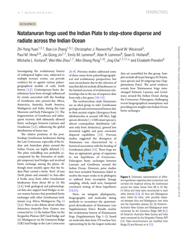 The 18-Electron Rule for Main-Group Alkaline Earth Octacarbonyl