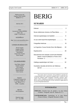 Berig Nº 11 - Abril 2011