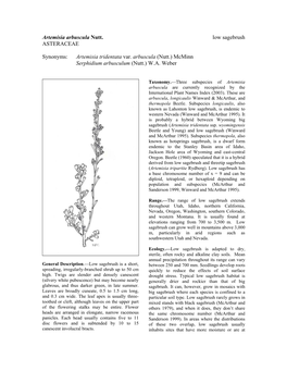 Artemisia Arbuscula Nutt