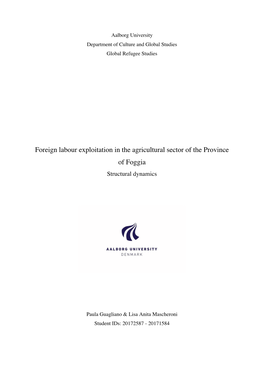 Foreign Labour Exploitation in the Agricultural Sector of the Province of Foggia Structural Dynamics