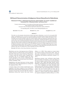 SSR Based Characterization of Indigenous Harnai Sheep Breed of Balochistan