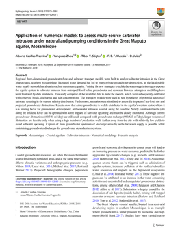 Application of Numerical Models to Assess Multi-Source Saltwater Intrusion Under Natural and Pumping Conditions in the Great Maputo Aquifer, Mozambique