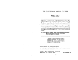 The Question of Animal Culture