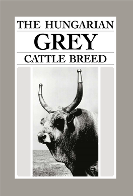 The Hungarian Grey Cattle Breed