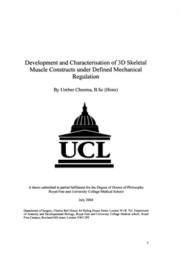 Development and Characterisation of 3D Skeletal Muscle Constructs Under Defined Mechanical Regulation