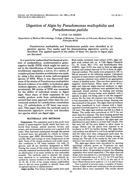 Digestion of Algin by Pseudomonas Maltophilia and Pseudomonas Putida V