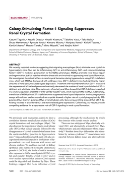 Viewed by the Institutional Lab- M2mws Were Counted, and 1.03106 Viable Cells Were Suspended in Oratory Animal Care and Use Committee of Nagoya City University