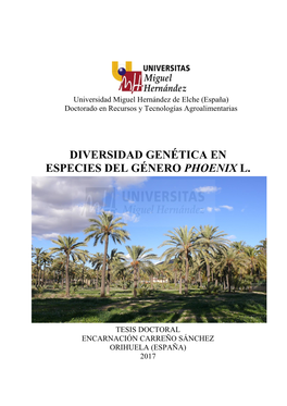 Diversidad Genética En Especies Del Género Phoenix L