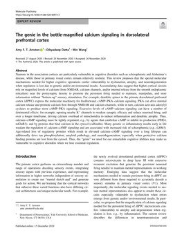 The Genie in the Bottle-Magnified Calcium Signaling in Dorsolateral