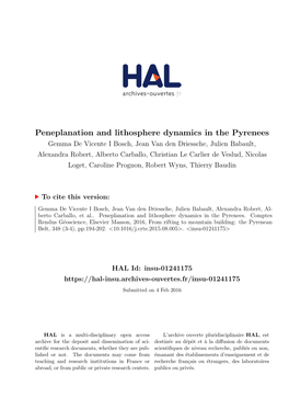 Peneplanation and Lithosphere Dynamics in the Pyrenees