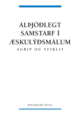 Alþjóðlegt Samstarf Í Æskulýðsmálum Ágrip Og Yfirlit