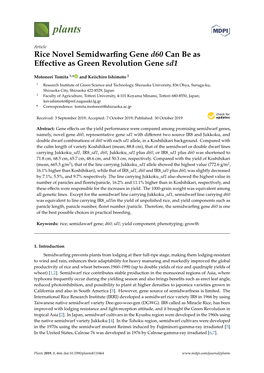 Rice Novel Semidwarfing Gene D60 Can Be As Effective As