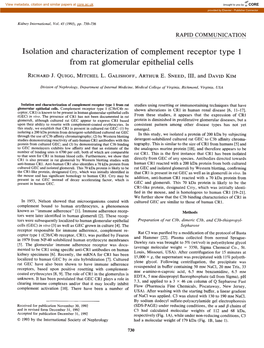 Isolation and Characterization of Complement Receptor Type 1 from Rat Glomerular Epithelial Cells