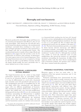 Biotrophy and Rust Haustoria