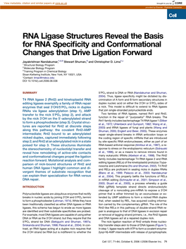 RNA Ligase Structures Reveal the Basis for RNA Specificity And