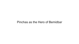 Pinchas As the Hero of Bemidbar