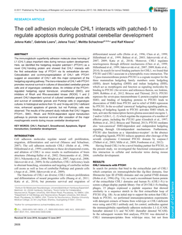 The Cell Adhesion Molecule CHL1 Interacts with Patched-1 to Regulate