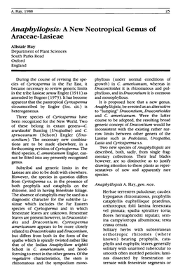 Anaphyllopsis: a New Neotropical Genus of Araceae-Lasieae