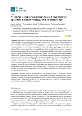 Nicotinic Receptors in Sleep-Related Hypermotor Epilepsy: Pathophysiology and Pharmacology