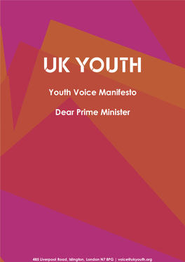 UK Youth Voice Manifesto