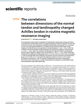 The Correlations Between Dimensions of the Normal Tendon And