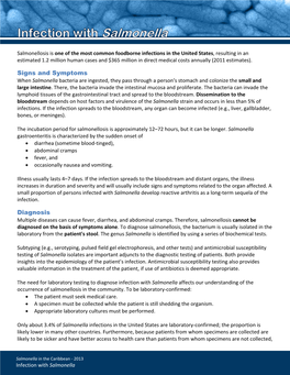 Salmonella Is One of the Most Common Foodborne Infections