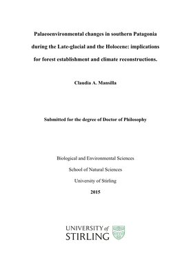 Palaeoenvironmental Changes in Southern Patagonia During the Late-Glacial and the Holocene: Implications