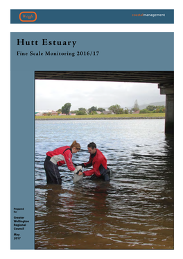 Hutt Estuary Fine Scale Monitoring 2016/17