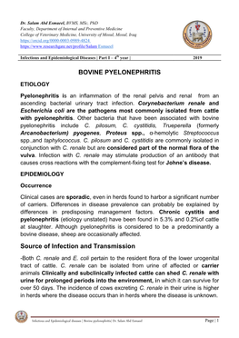 BOVINE PYELONEPHRITIS Source of Infection and Transmission