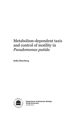 Metabolism-Dependent Taxis and Control of Motility in Pseudomonas Putida