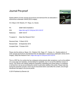 Spatial Patterns of Arctic Sponge Ground Fauna and Demersal Fish Are Detectable in Autonomous Underwater Vehicle (AUV) Imagery