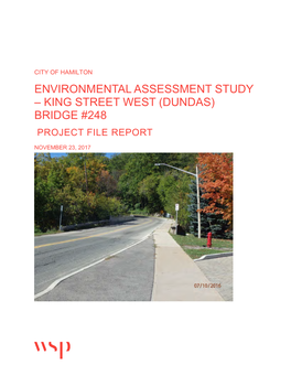 Environmental Assessment Study – King Street West (Dundas) Bridge #248 Project File Report