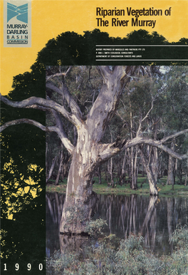 Riparian Vegetation of the River Murray COVER: Healthy Red Gum in the Kex)Ndrook State Forest Near Barham N.S.W