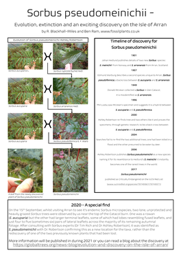 Sorbus Pseudomeinichii - Evolution, Extinction and an Exciting Discovery on the Isle of Arran