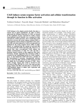 Crkii Induces Serum Response Factor Activation and Cellular Transformation Through Its Function in Rho Activation