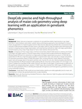 Precise and High-Throughput Analysis of Maize Cob Geometry Using Deep
