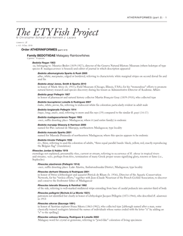 The Etyfish Project © Christopher Scharpf and Kenneth J
