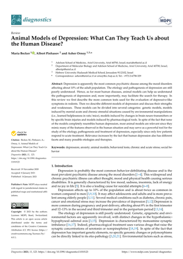 Animal Models of Depression: What Can They Teach Us About the Human Disease?