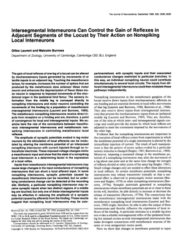 Intersegmental Interneurons Can Control the Gain of Reflexes in Adjacent Segments of the Locust by Their Action on Nonspiking Local Interneurons