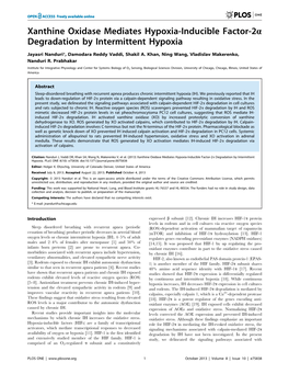 Xanthine Oxidase Mediates Hypoxia-Inducible Factor-2A Degradation by Intermittent Hypoxia