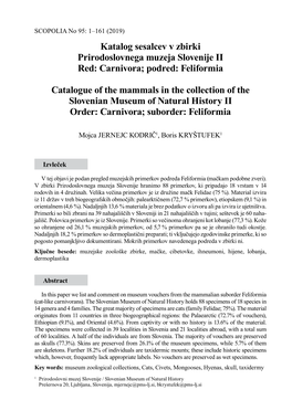 Carnivora; Podred: Feliformia