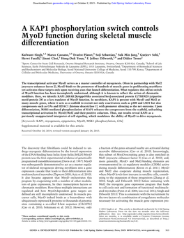 A KAP1 Phosphorylation Switch Controls Myod Function During Skeletal Muscle Differentiation