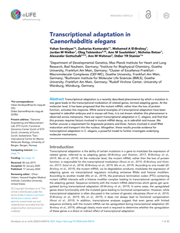 Transcriptional Adaptation in Caenorhabditis Elegans