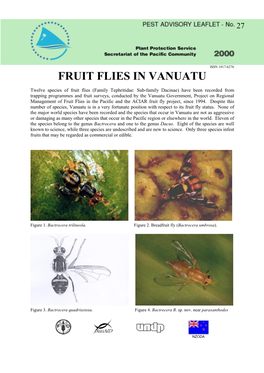 Fruit Flies in Vanuatu