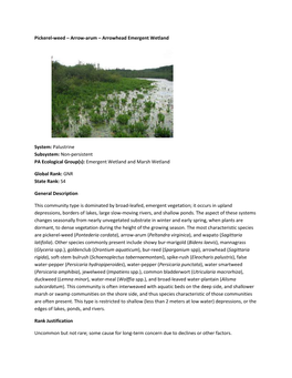 Pickerel-Weed – Arrow-Arum – Arrowhead Emergent Wetland