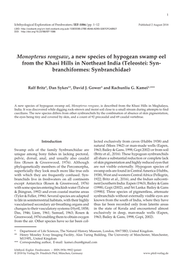 Monopterus Rongsaw, a New Species of Hypogean Swamp Eel from the Khasi Hills in Northeast India (Teleostei: Syn- Branchiformes: Synbranchidae)